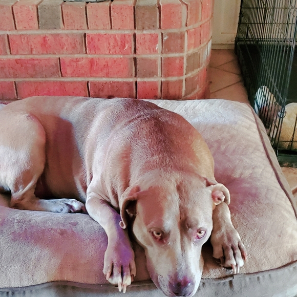 Meet your Posher, Michael - Picture 4 of 9